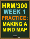 HRM/300 WK1 HR ROLES MIND MAP
